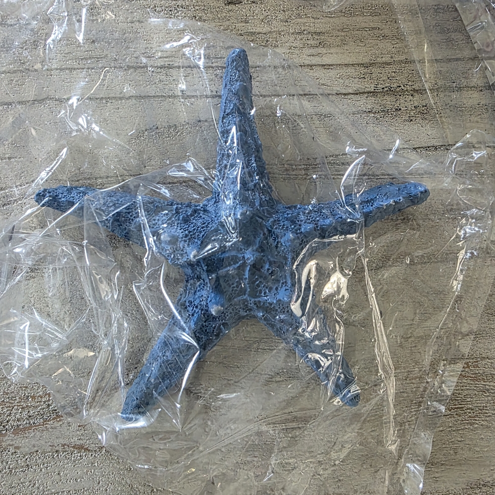 Blue Knotty Starfish